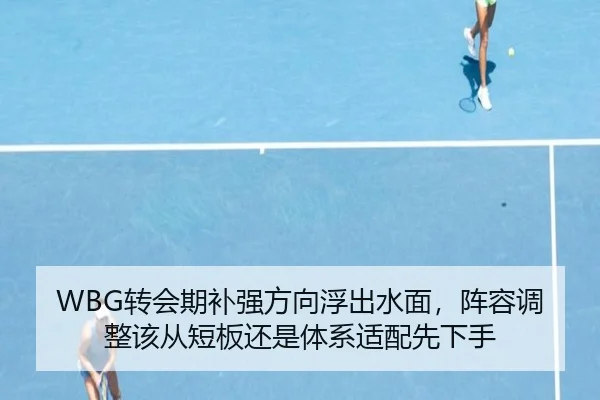 WBG转会期补强方向浮出水面，阵容调整该从短板还是体系适配先下手（kaiyun）